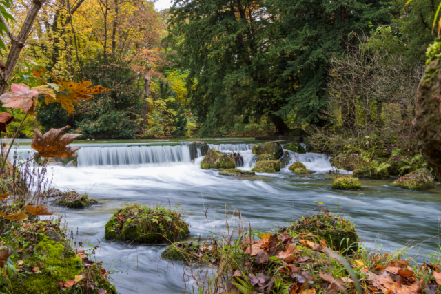 A long exposure autumn stream.