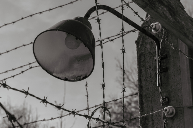 Lamp in front of barb wire