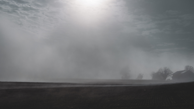 Foggy mystique landscape